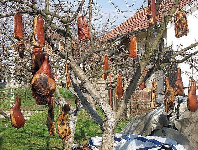 Пора! Скоро дачный сезон начинается