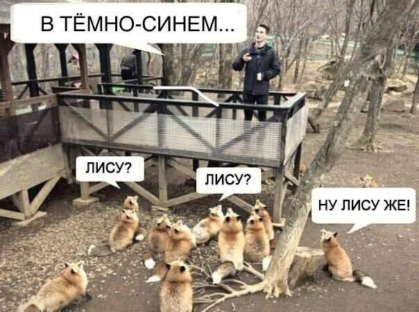 ТРРРидцать тРРРи от 7 мая
