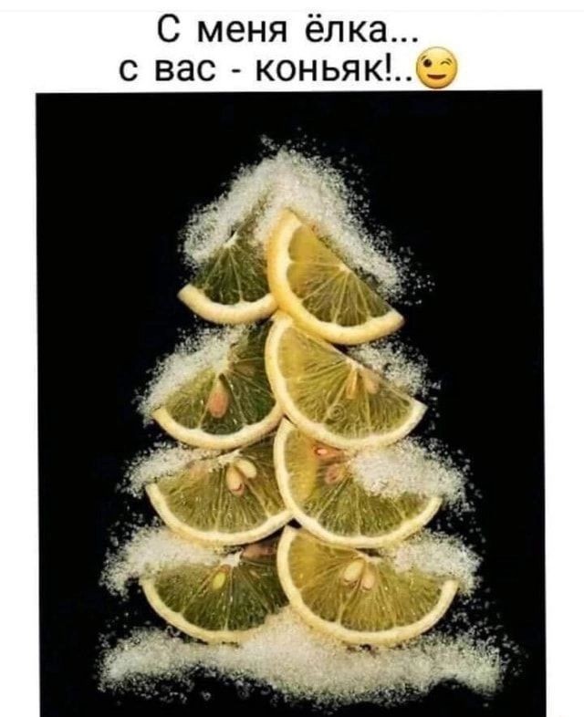 Немного забавных картинок от 22.12.24