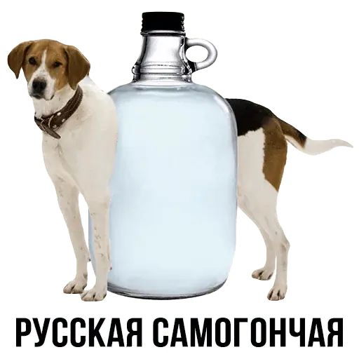 Укуренные картинки