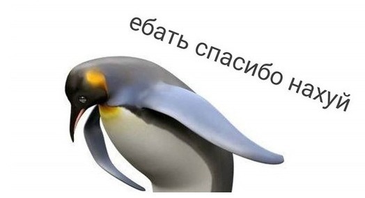 Как атакуют гадюки: зная это, вы избежите укуса. Простая памятка