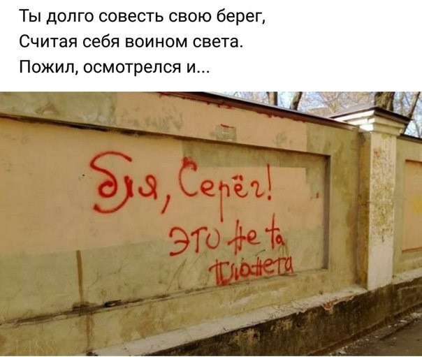 Поросёнок