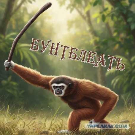 БУНД! Налетай, торопись, покупай живопись!