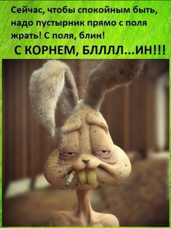Ромашковый чай обладает успокаивающим действием