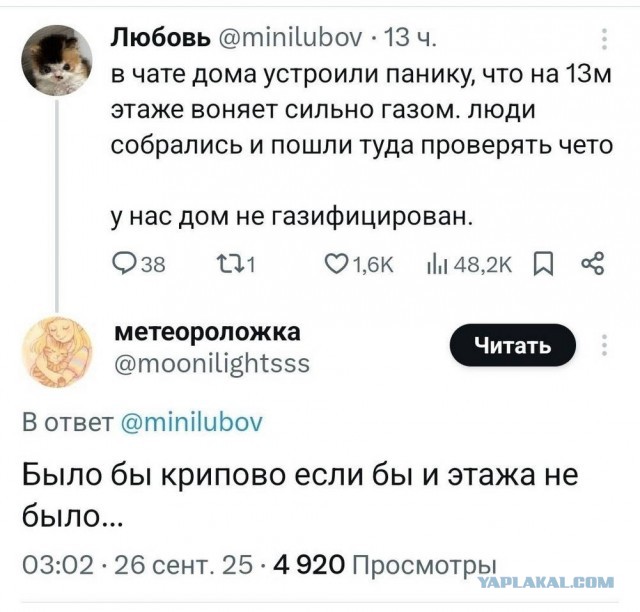 Пятничные картинки