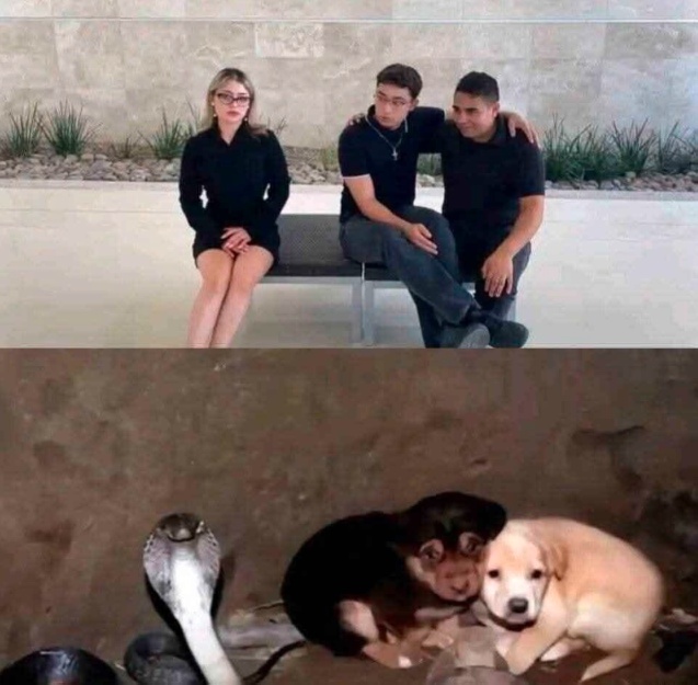 Юмор в картинках и без