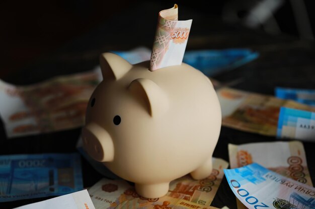 Минфин Карелии предложил местным жителям поиграть в «Февраль без трат»