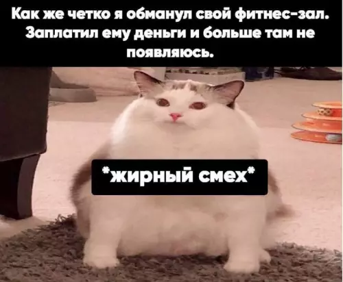 Картиночки, баянчики 10 марта