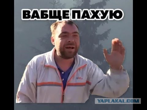 Это моя корова, и я ее дою...