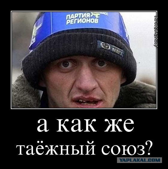 Майдан 2013, Киев