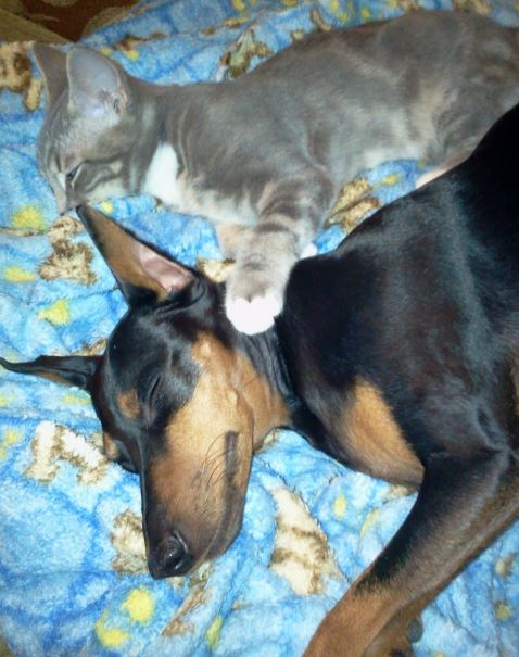 В Крыму захвачены Совмин и Верховная рада, официальных заявлений еще не было