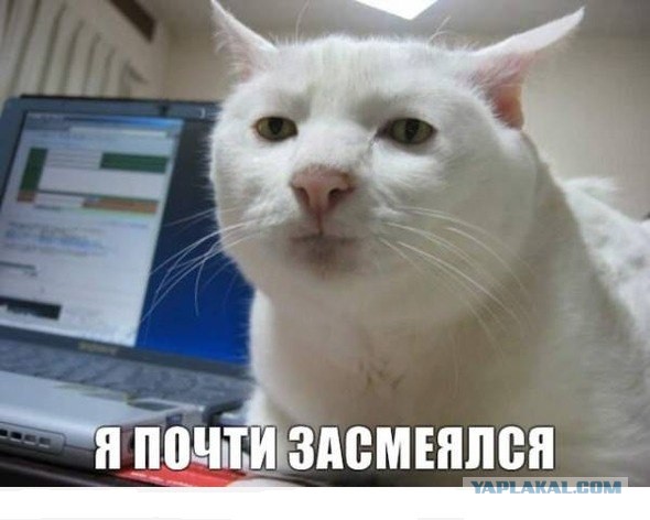 Не совсем удачные фотографии животных