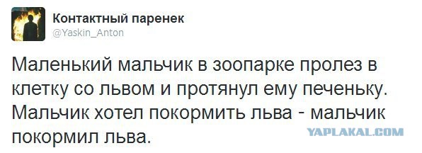 Веселые картинки.