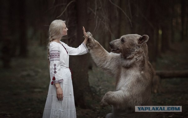 Работы российского фотографа Яны Петровой