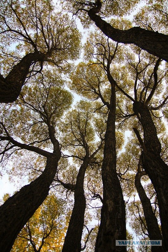 Фотки, фото, фотографии