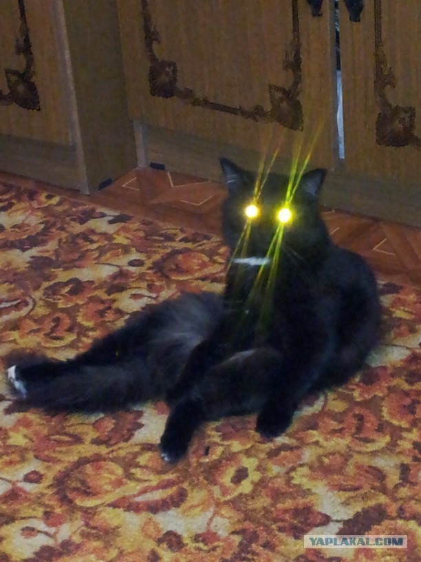 Случайно ночью нашел