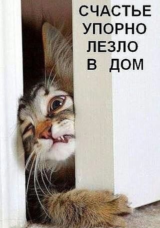 Папуас Порошенко