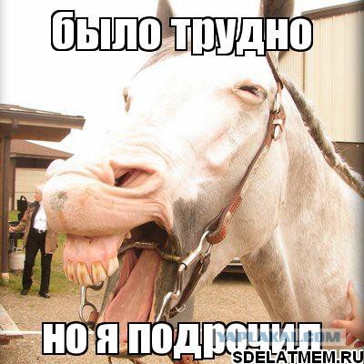 Что это за хрень лесная?!