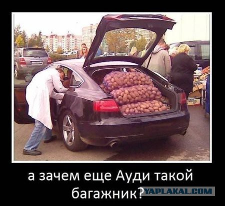 Прикольные картинки для вас!