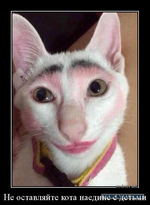 Пост невероятной кошачьей красоты. 25 фот.