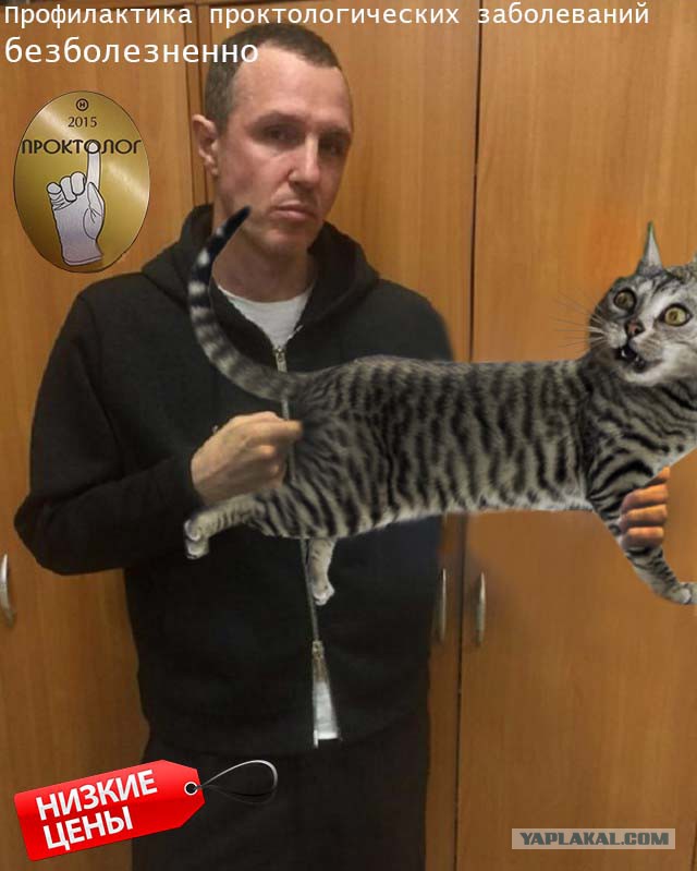Интернет-пользователи иронично «затроллили» флешмоб звезд шоу-бизнеса