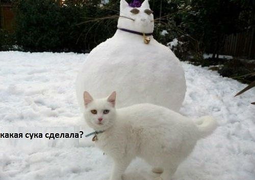 Злые шутки или минутка сарказма на ЯП-е, 16+