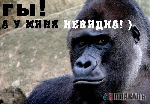 Уже да :) Ужо пятнецца...