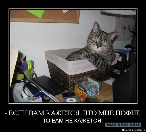 В России не будут транслировать "Евровидение-2017"