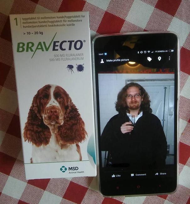 20 весёлых и находчивых жён, которые мастерски умеют разыгрывать своих мужей