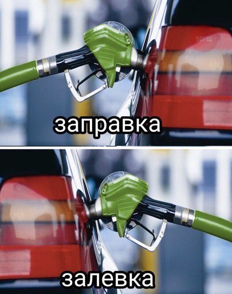 Подборка безудержного веселья