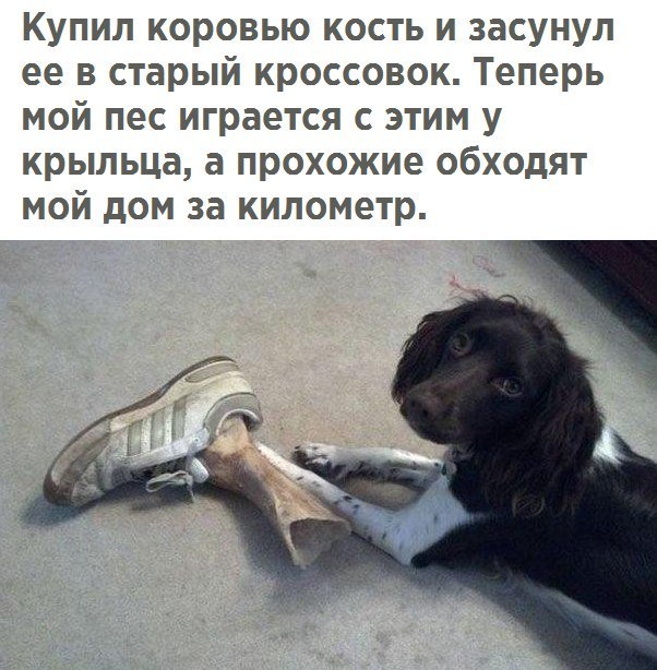 Соцсети - и смех и грех