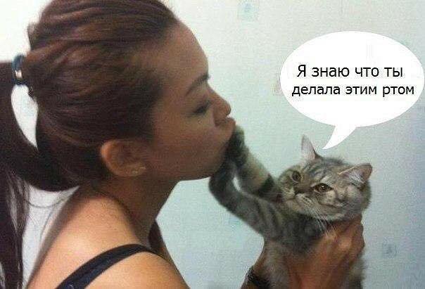 Подборка интересных и веселых картинок