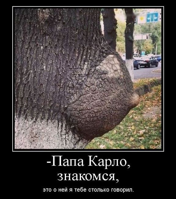 Картинки для настроения в пятницу.