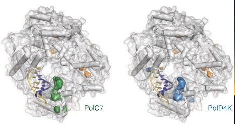 10 научных прорывов 2012 года