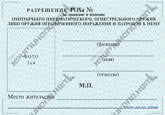 Матвиенко захотела прекратить пьяную стрельбу на улицах из охотничьих ружей