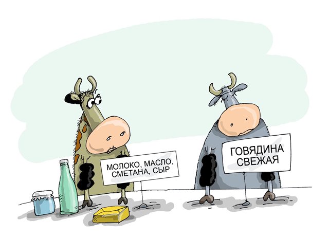 Явление маркетолога в компании