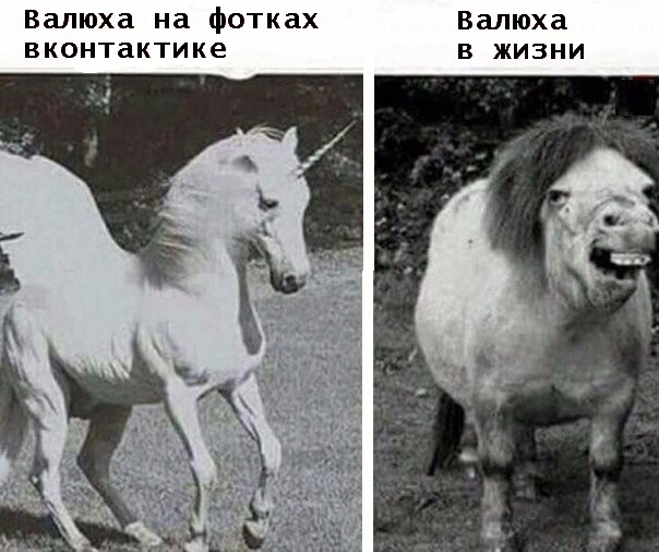 Итоги проверки пользователей