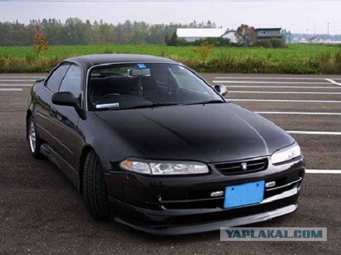 Суровая правда тазовода