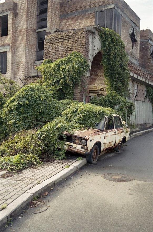 Картинки по-приколу