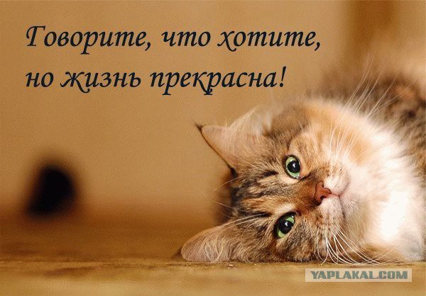 Когда нет денег - нет любви
