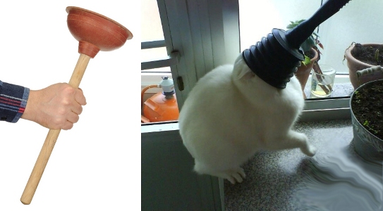Любимый котейко не какает 3-ий день! Что делать?