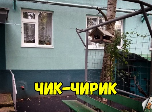 Нестандартный юмор