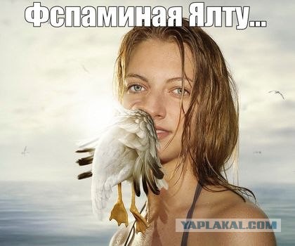 А не лезь целоваться без разрешения!