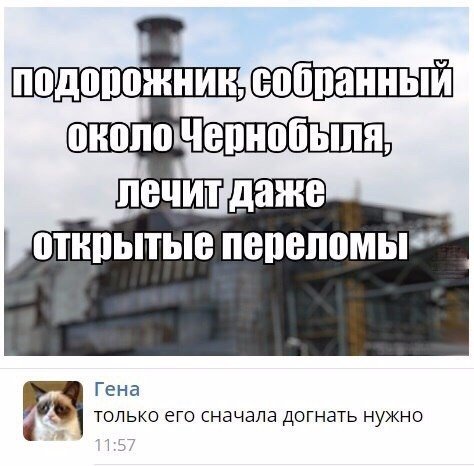 Нестандартный юмор