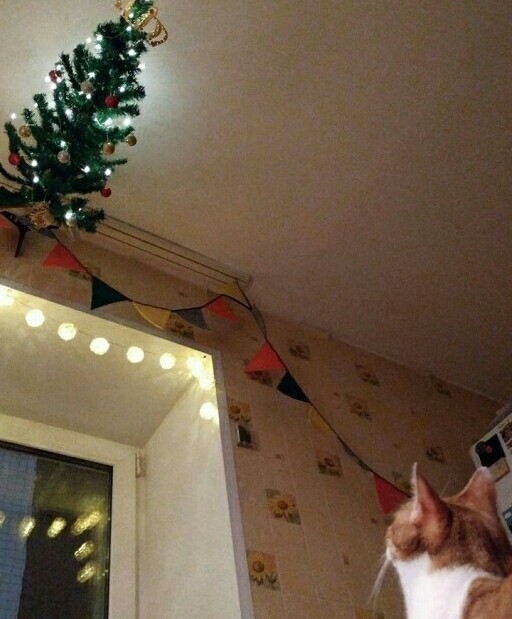 Цель опознана! Внимание - цель опознана!