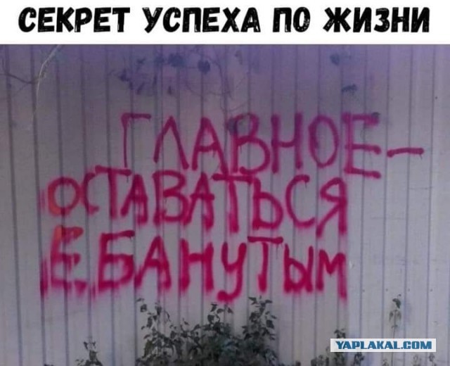 Все енапумись