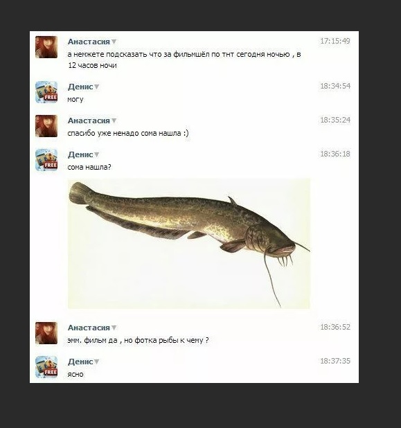 Истории про сома