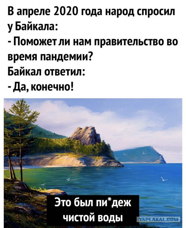 Вариант получения выплат от государства на время изоляции