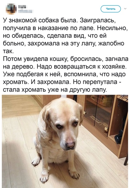 Немного картинок для настроения 13.05.20