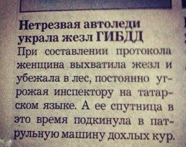Мемы и смешные картинки